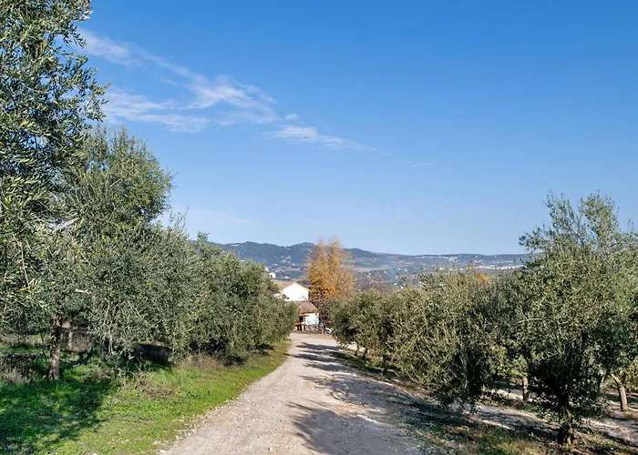 Nyaraló Fuente Dulce *